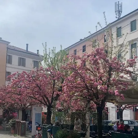 Apartment Ca'verde *
